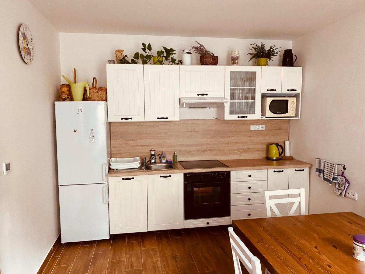 Apartman Pod Bozim Darem Jáchymov Exterior foto