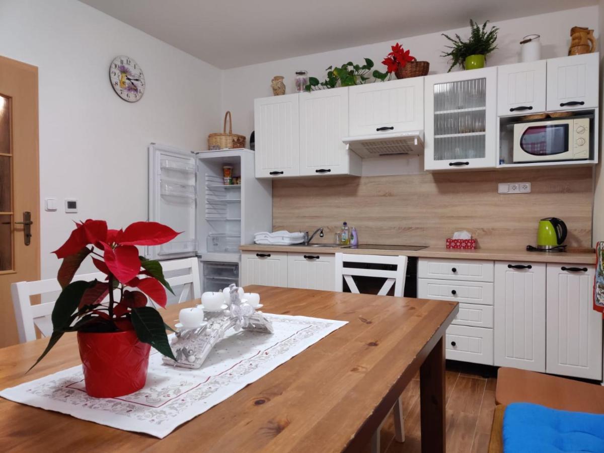 Apartman Pod Bozim Darem Jáchymov Exterior foto